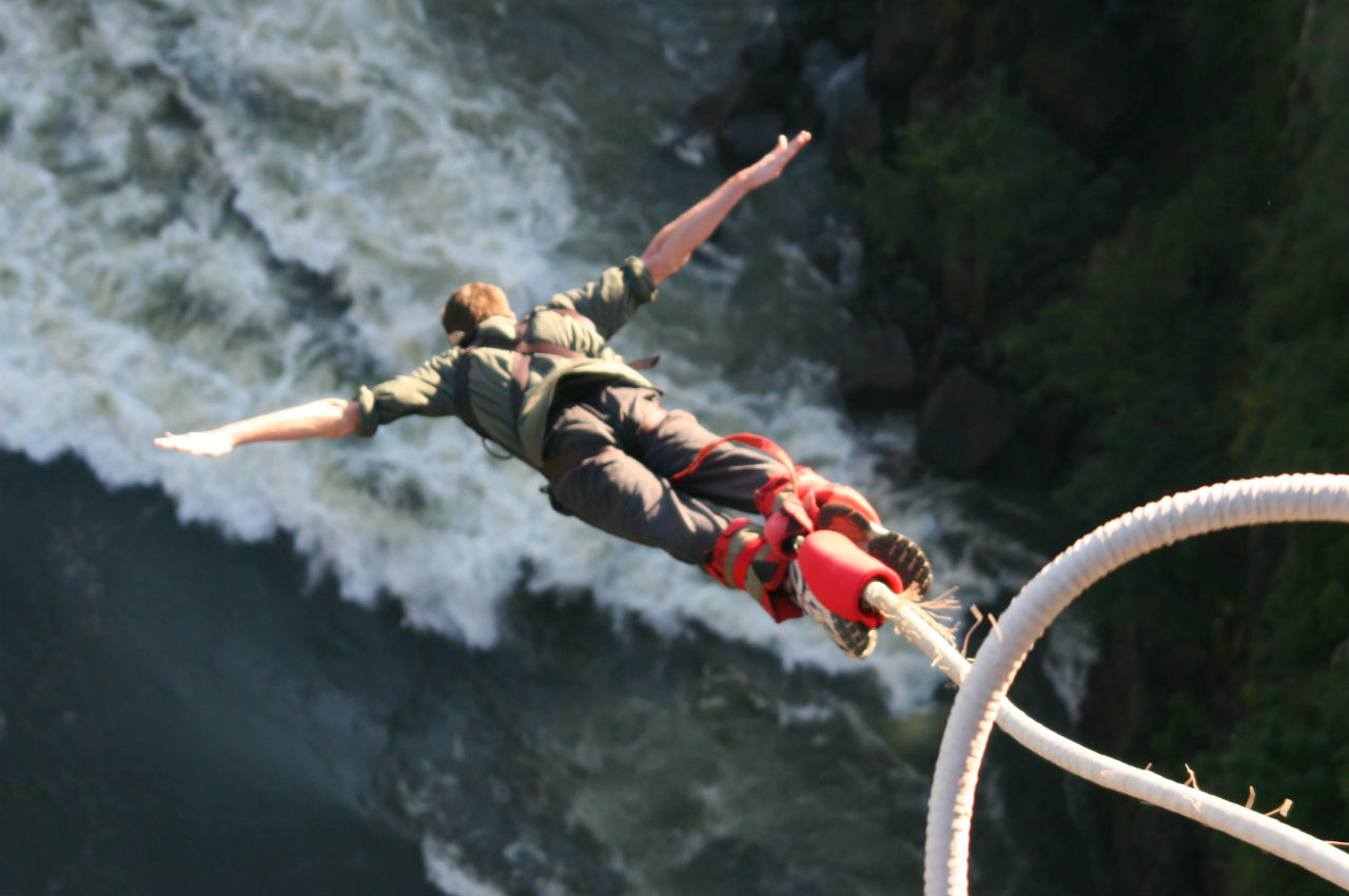 Bungee Communication - DPM Party